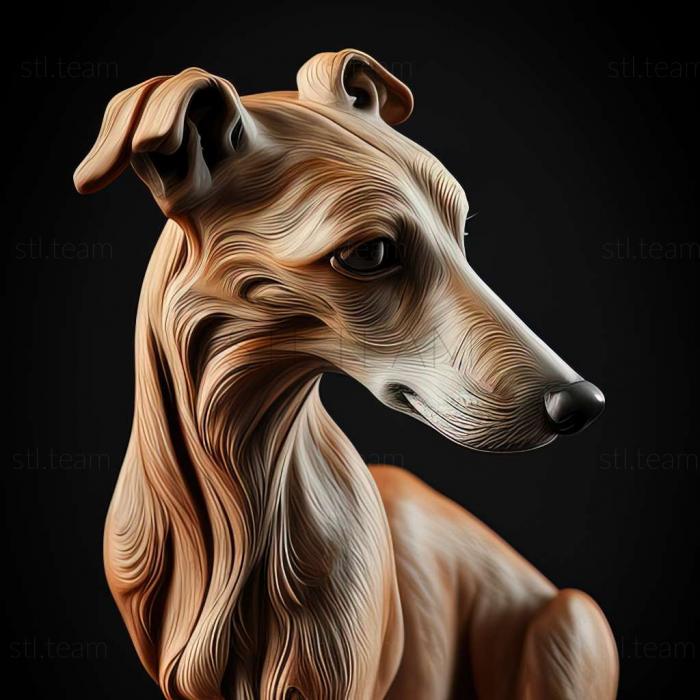 Animals Whippet dog